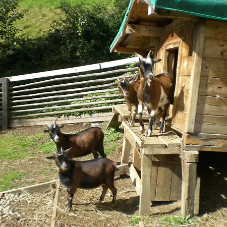 فندق Jugend- Und Venedigerhof Neukirchen am Großvenediger