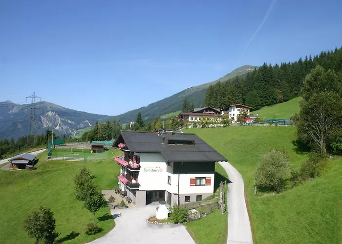 酒店 吉恩德法米乐恩维迪吉尔豪弗酒店 3*