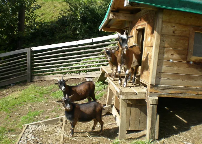 酒店 吉恩德法米乐恩维迪吉尔豪弗酒店 Neukirchen am Großvenediger